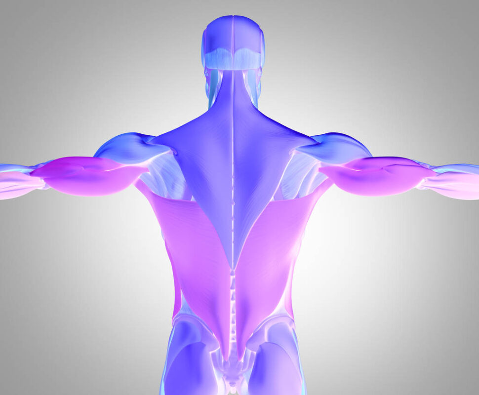 Liver Detox Symptoms