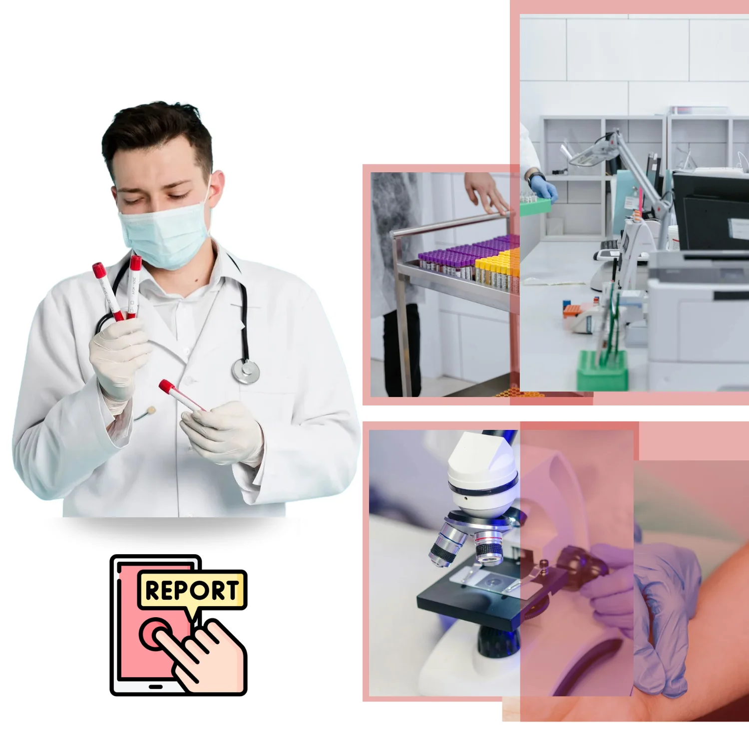 MCV Blood Test Analysis