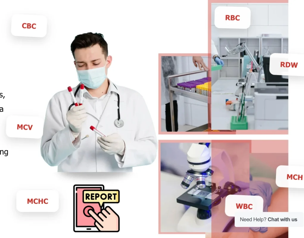 MCV Blood Test Results Explained Simply: Low, Normal, and High MCV