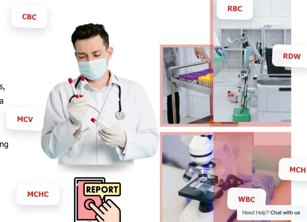 MCV Blood Test Results Explained Simply: Low, Normal, and High MCV