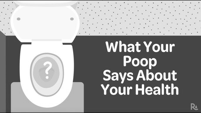What Your Poo Says About Your Health: Colour, Shape, and Warning Signs